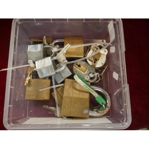 251 - BOX OF PADLOCKS