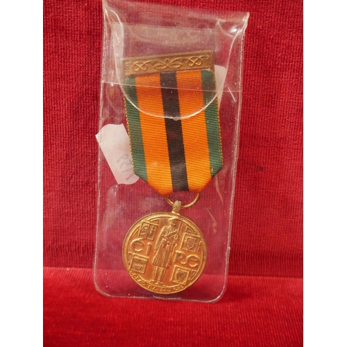 359 - 1971 IRISH SURVIVORS MEDAL