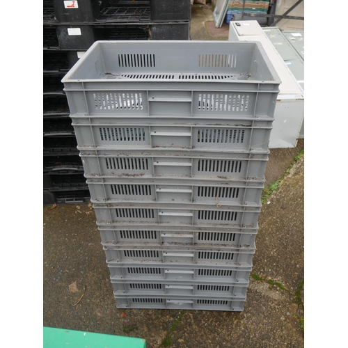 50 - LOT OF STORAGE TRAYS