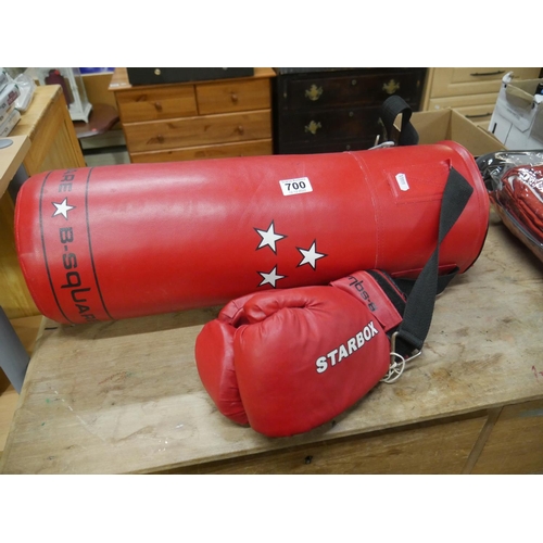 700 - PUNCH BAG & GLOVES