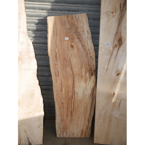 116 - SLAB OF SPALTED BEECH