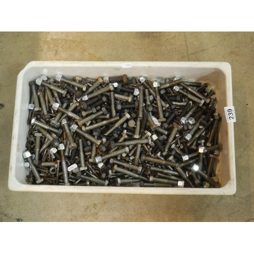 239 - TRAY OF BOLTS