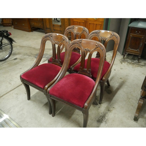 464 - 4 REGENCY MAHOGANY CHAIRS