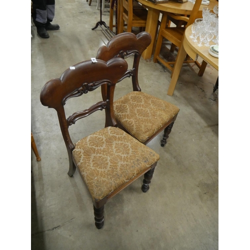 624 - PAIR OF VICTORIAN CHAIRS