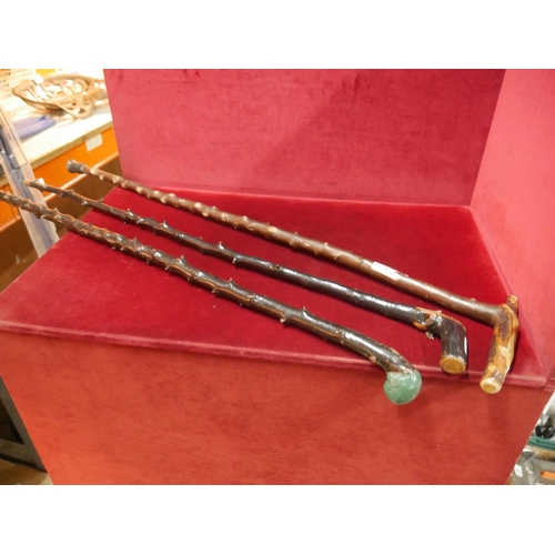 744 - LOT OF WALKING STICKS