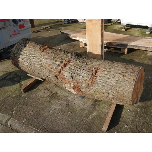 17 - LARGE LIME LOG