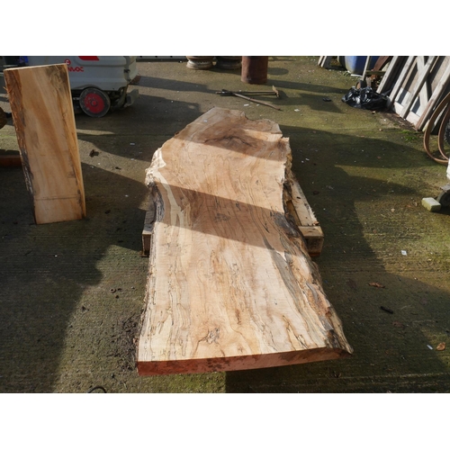 19 - LARGE BEECH SLAB