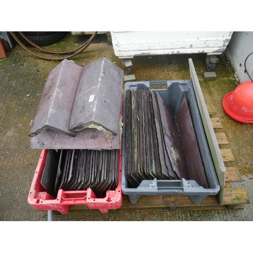 14 - LOT OF SLATES