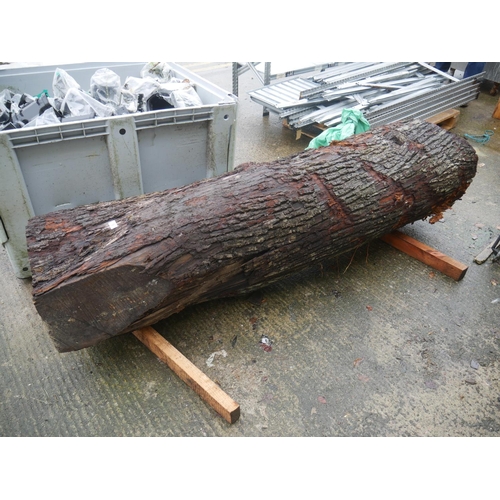 9 - LARGE LIME LOG