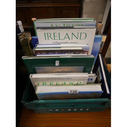 738 - LOT OF IRISH BOOKS