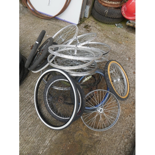 42 - SELECTION OF BICYCLE RIMS