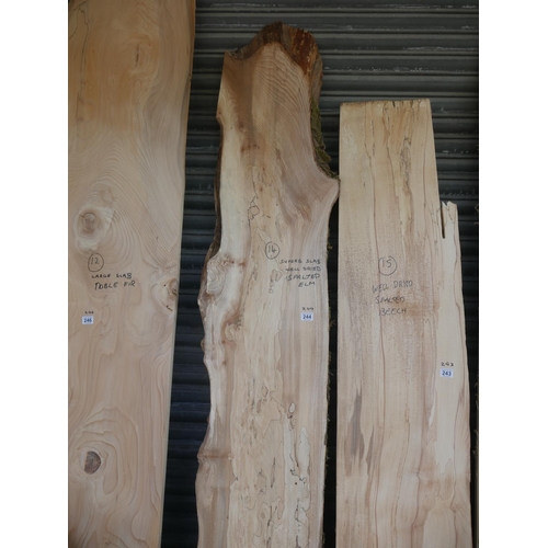 244 - SLAB OF SPALTED ELM