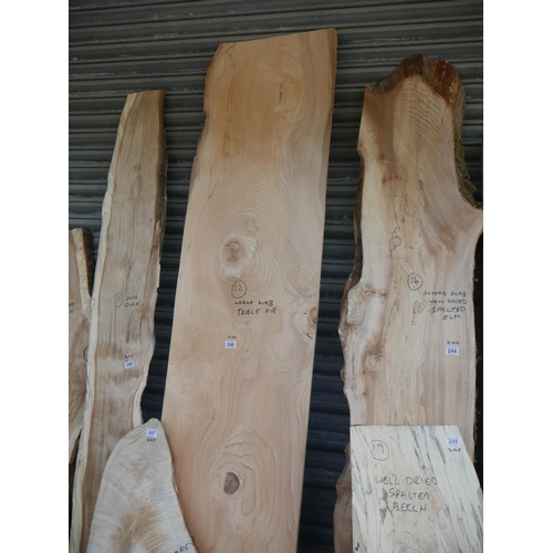 246 - SLAB OF NOBLE FIR