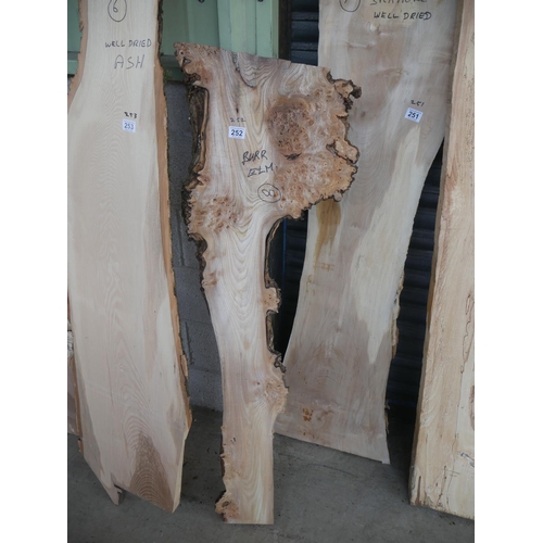 252 - PIECE OF BURR ELM