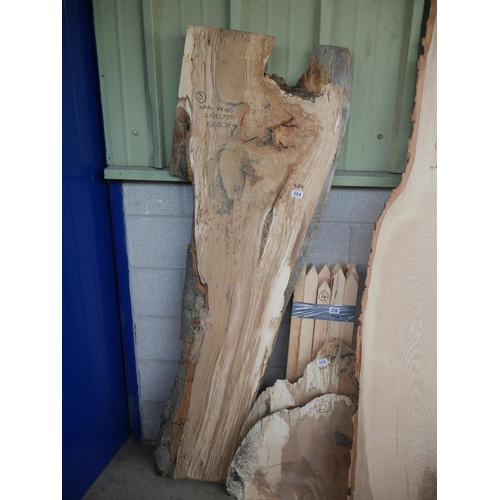 254 - PIECE OF SPALTED BEECH