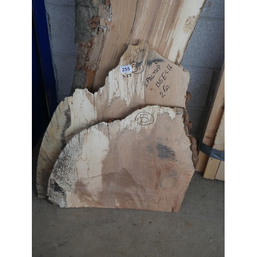 255 - 2 PIECES OF SPALTED BEECH