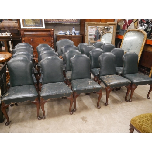 481 - SET OF 20 DINING CHAIRS INCLUDING 6 CARVERS