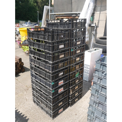 53 - LOT OF STORAGE TRAYS