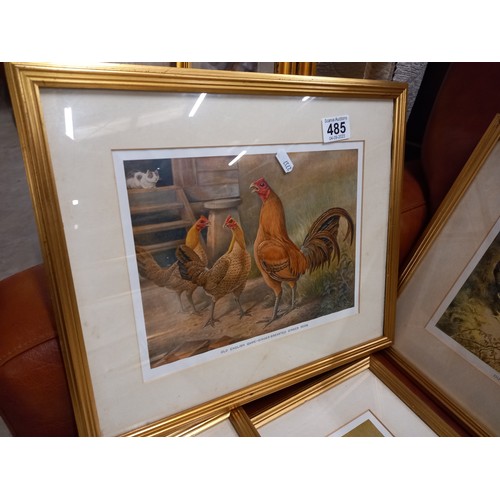 485 - 12 FRAMED 'OLD ENGLISH GAME' PRINTS