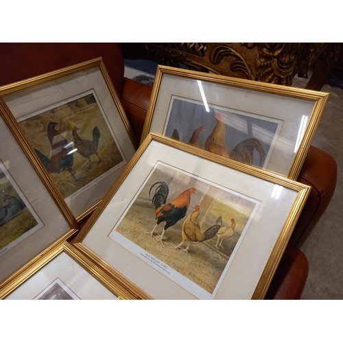 485 - 12 FRAMED 'OLD ENGLISH GAME' PRINTS