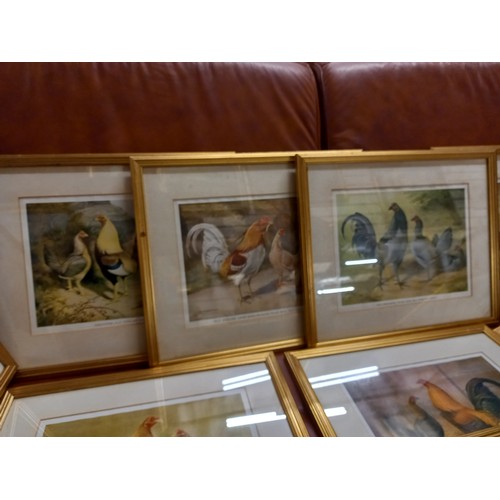 485 - 12 FRAMED 'OLD ENGLISH GAME' PRINTS