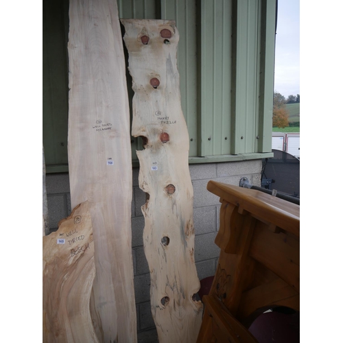 163 - MONKEY PUZZLE PLANK