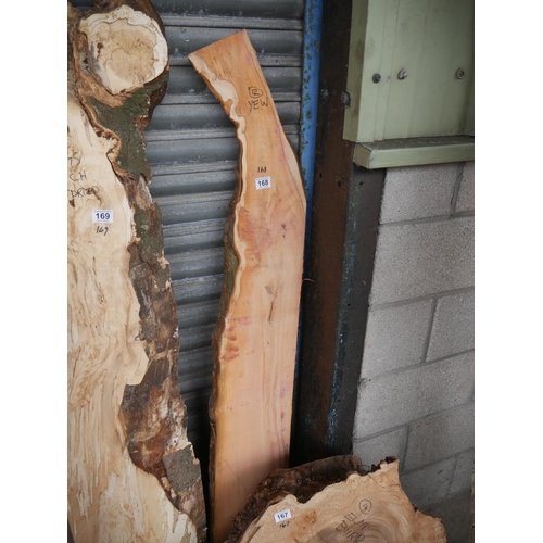 168 - SMALL YEW SLAB