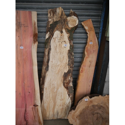 169 - SPALTED BEECH SLAB