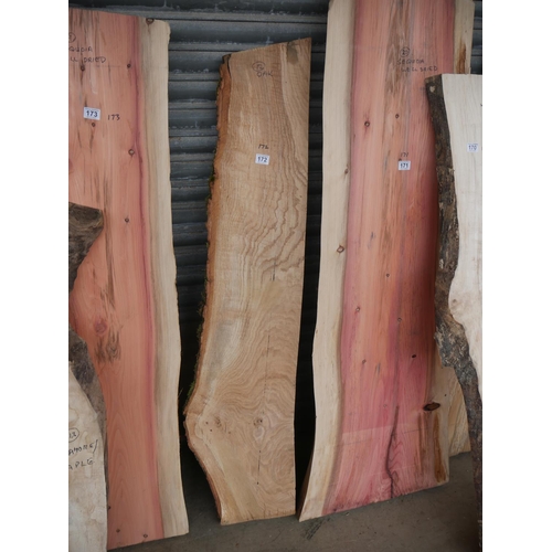 172 - OAK SLAB