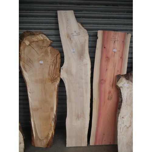 175 - SYCAMORE SLAB