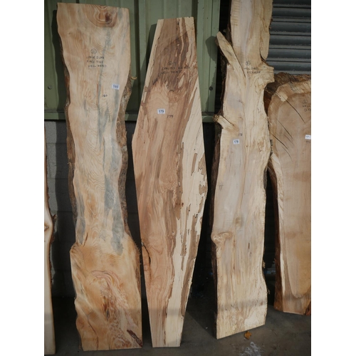 179 - SLAB OF SPALTED BEECH