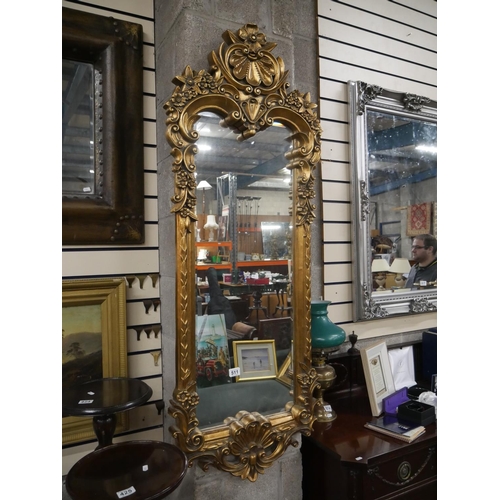 511 - ORNATE GILT LONG MIRROR