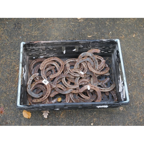 46 - BOX OF HORSESHOES