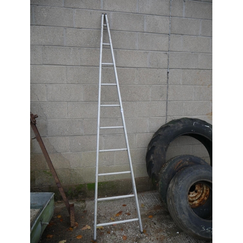 6 - ORCHARD LADDER