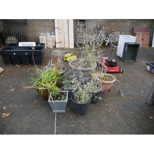 70 - LOT OF PLANTERS & CONTENTS