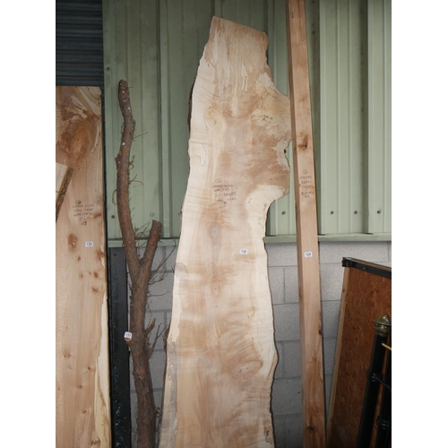 130 - SLAB OF SYCAMORE