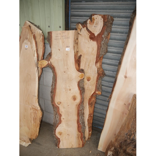 140 - 2 PIECES OF WELL DRIED CEDAR