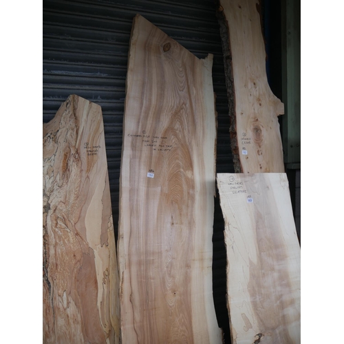 184 - LARGE ASH PLANK FROM 2ND LARGEST ASH TREE IN IRELAND