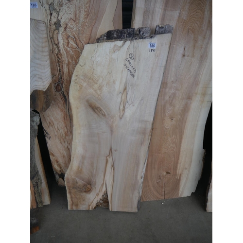 185 - SLAB OF SPALTED SCYAMORE