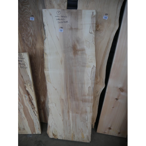 190 - SLAB OF SPALTED SYCAMORE