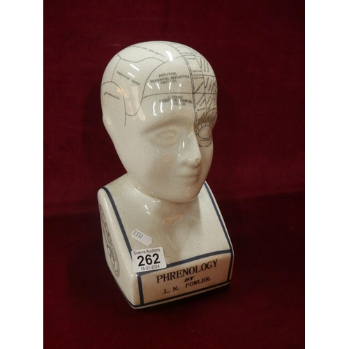 262 - PHRENOLOGY HEAD