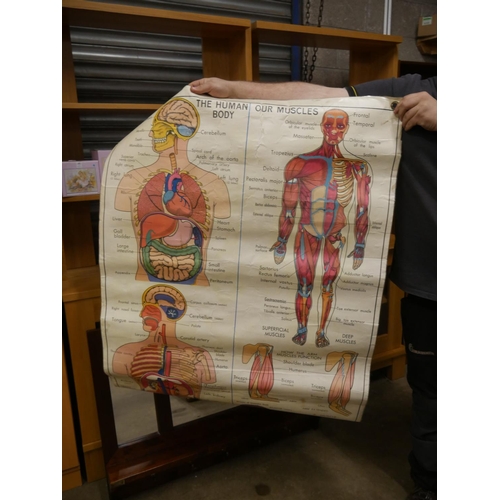 553 - OLD MEDICAL CHART