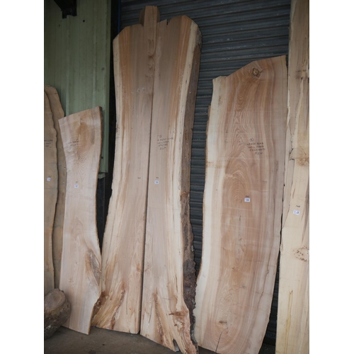 150 - 2 HEAVY SLABS OF SPALTED ELM