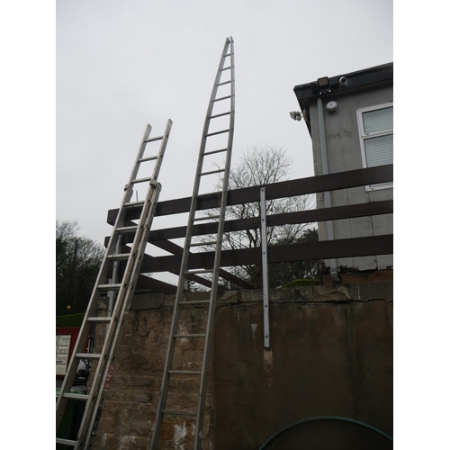 164 - ALUMINIUM ORCHARD LADDER