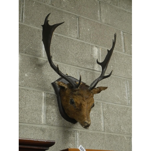 509 - TAXIDERMY STAG HEAD