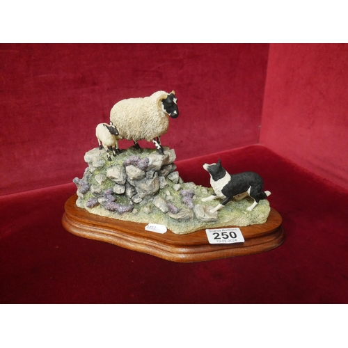 250 - BORDER FINE ARTS FIGURINE - STANDING HER GROUND