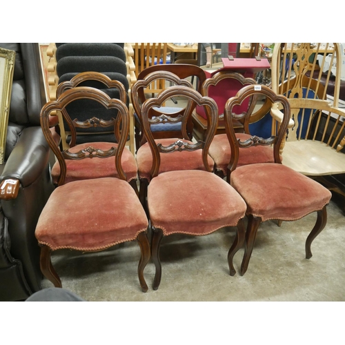 692 - 6 WALNUT VICTORIAN BALLOON BACK CHAIRS