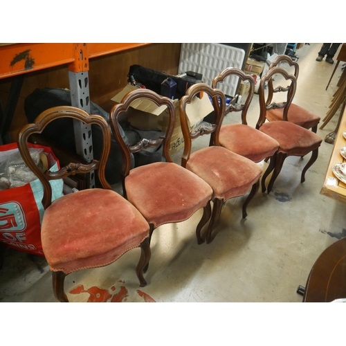 645 - 6 VICTORIAN BALLOON BACK CHAIRS