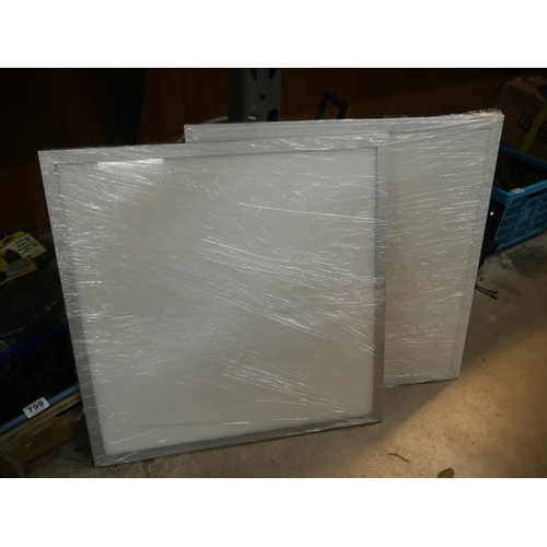 798 - 2 LIGHT PANELS