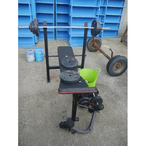 48 - WEIGHTS BENCH & WEIGHTS